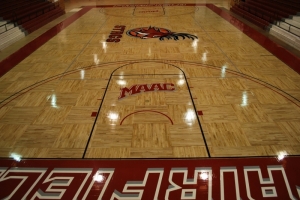 stags pic